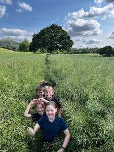 666ee8d9-30ec-4e22-868d-e44d00415e0c