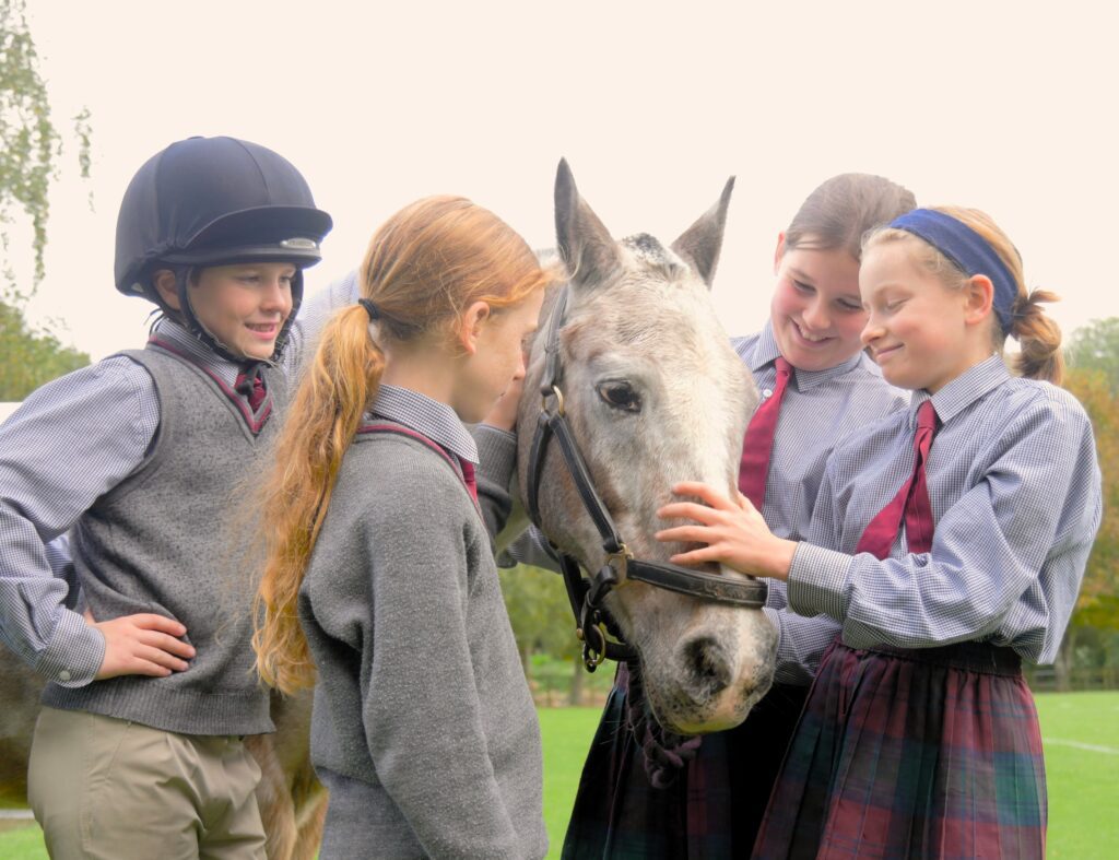 horse and hound merlin values and ethos - compassion