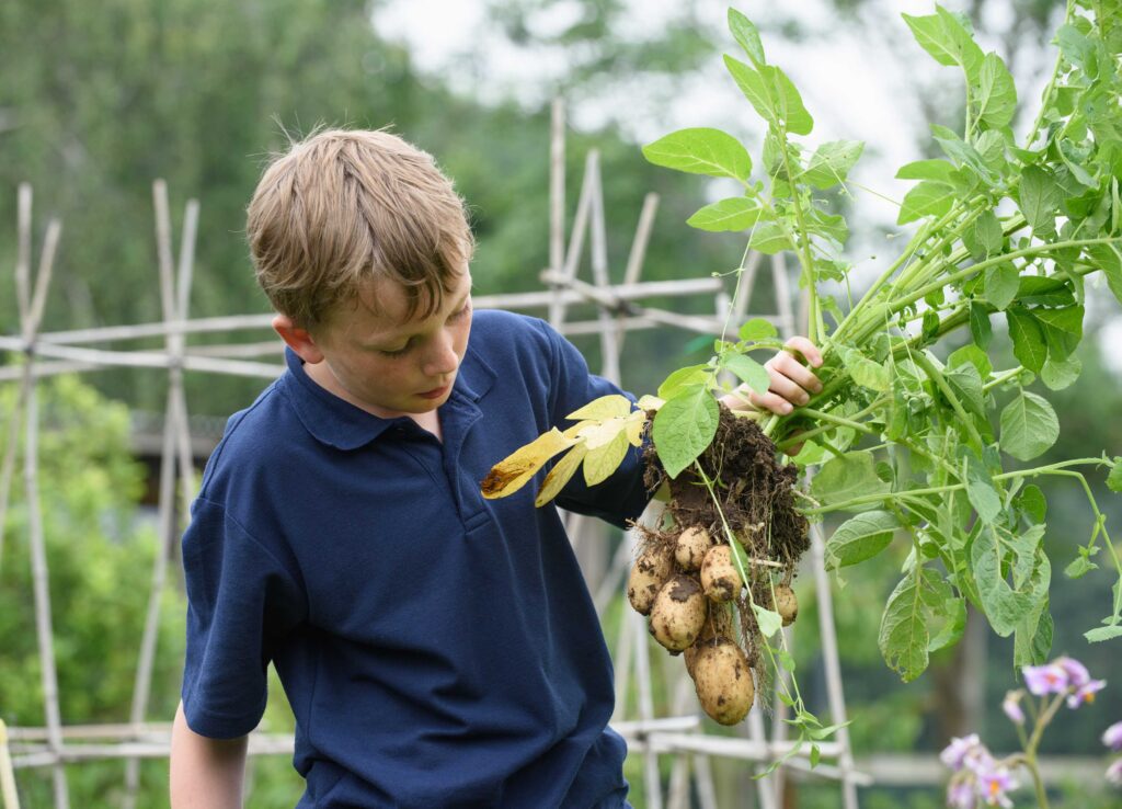 gardening club gardening club