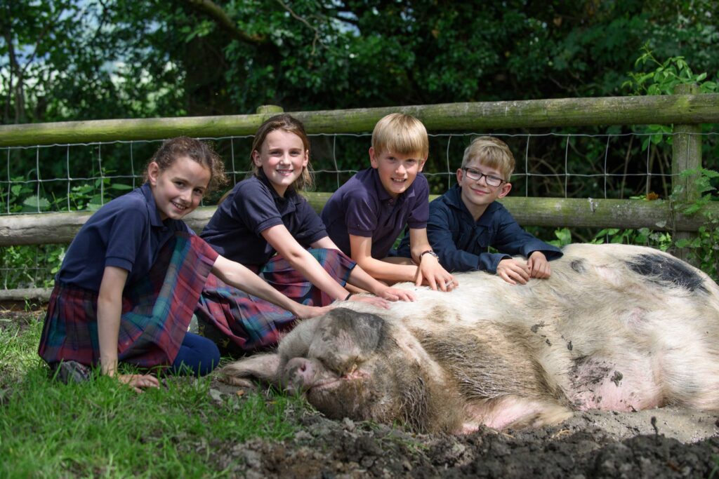 Prep curriculum - rural studies