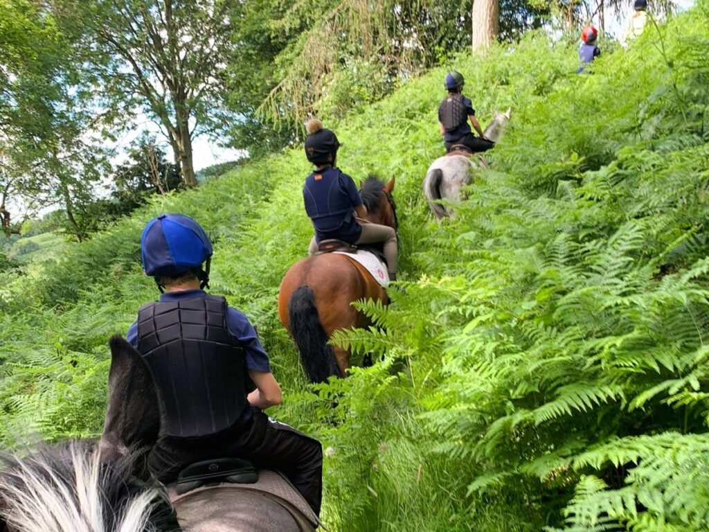 the elms school riding (2) the elms school riding (2)