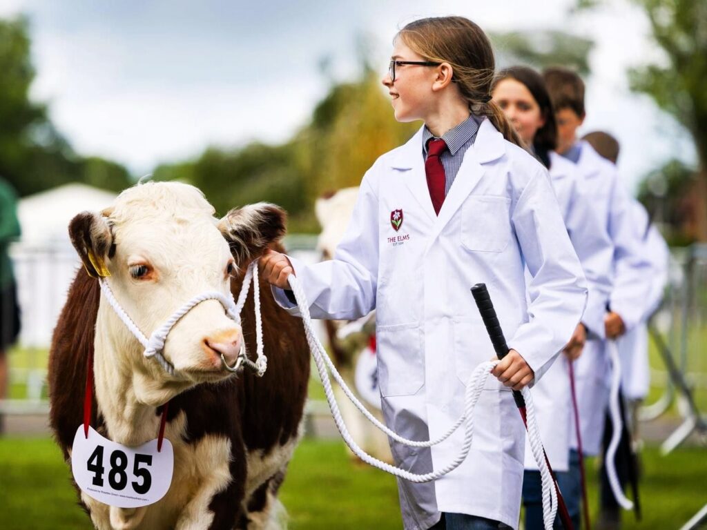 boarding weekends boarding weekends