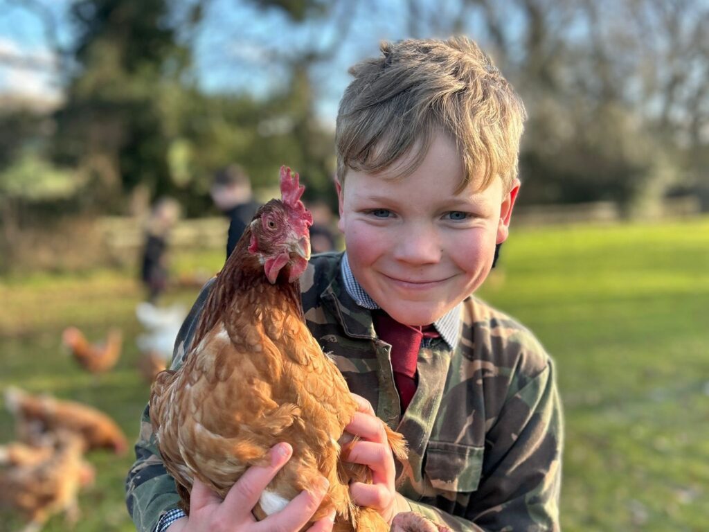 chickens - top independent school Malvern Worcester chickens - top independent school Malvern Worcester