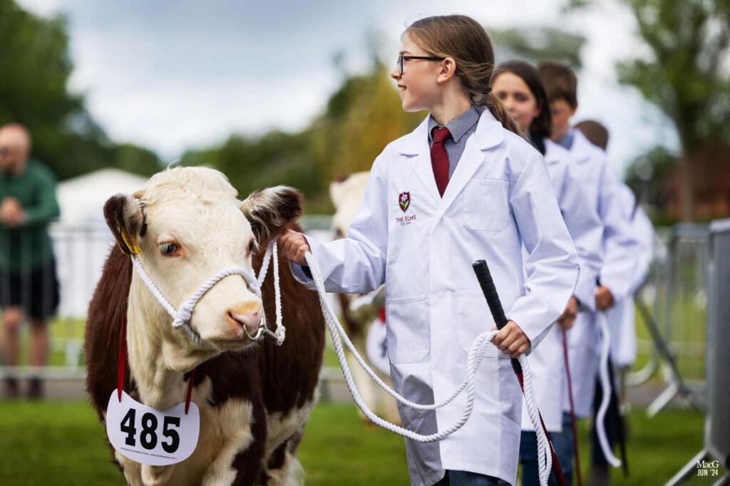 rural studies - agricultural shows - top prep school herefordshire rural studies - agricultural shows - top prep school herefordshire