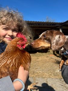 animal magic - extra curricular