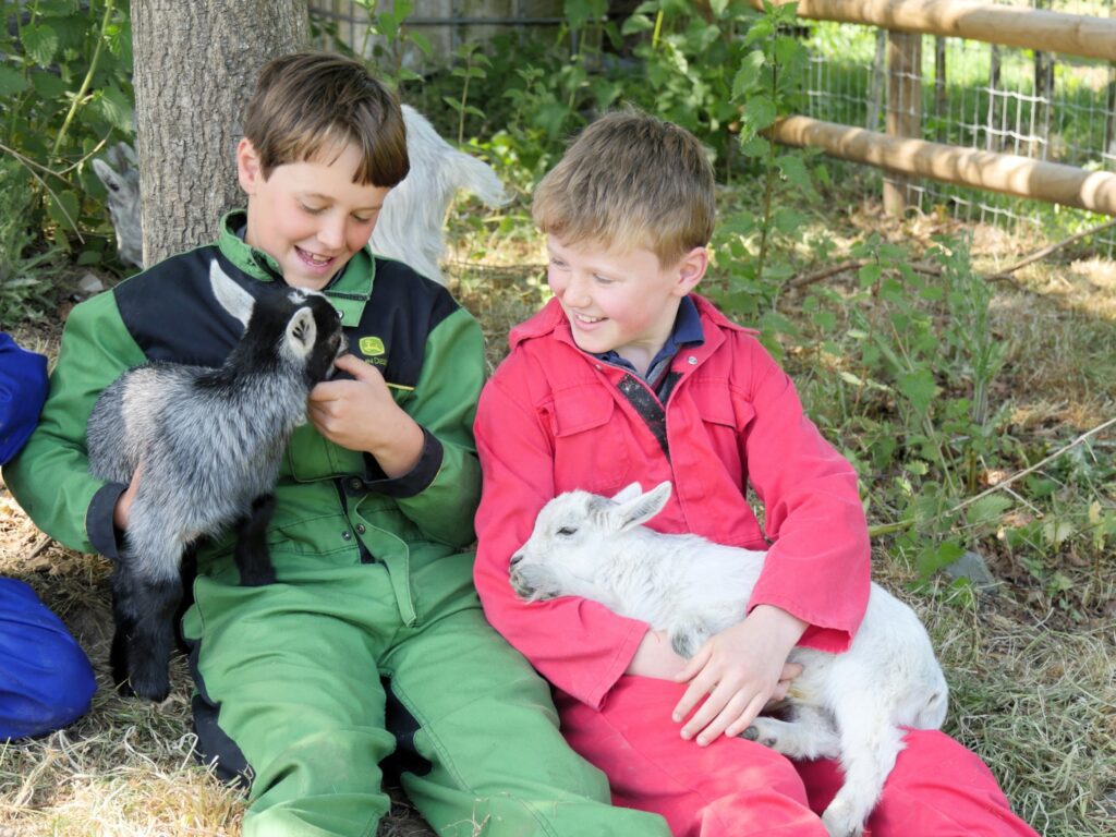 on the farm - top independent school UK The Elms on the farm - top independent school UK The Elms