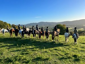 hacking - extra curricular