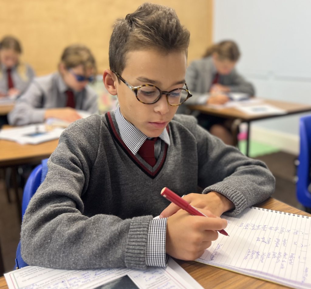 prep curriculum - learning support