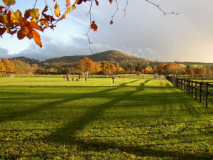 extensive grounds at The Elms School